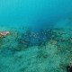 Bermuda Ocean