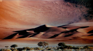 Desert Landscape