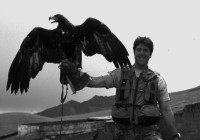 kazakh eagle hunt