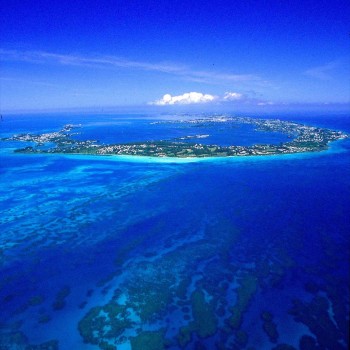 Scott Stallard Photography | Bermuda Library